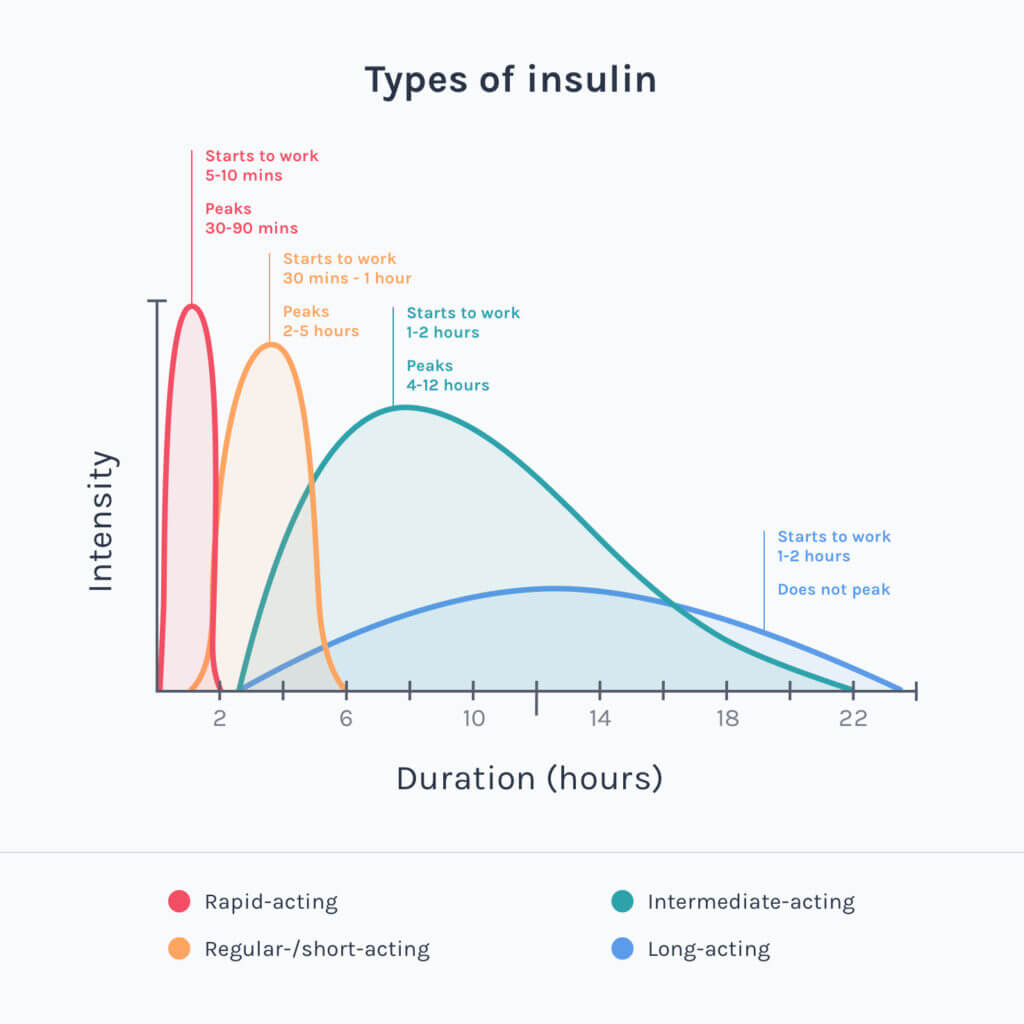 Insulin types nursing photos and vectors