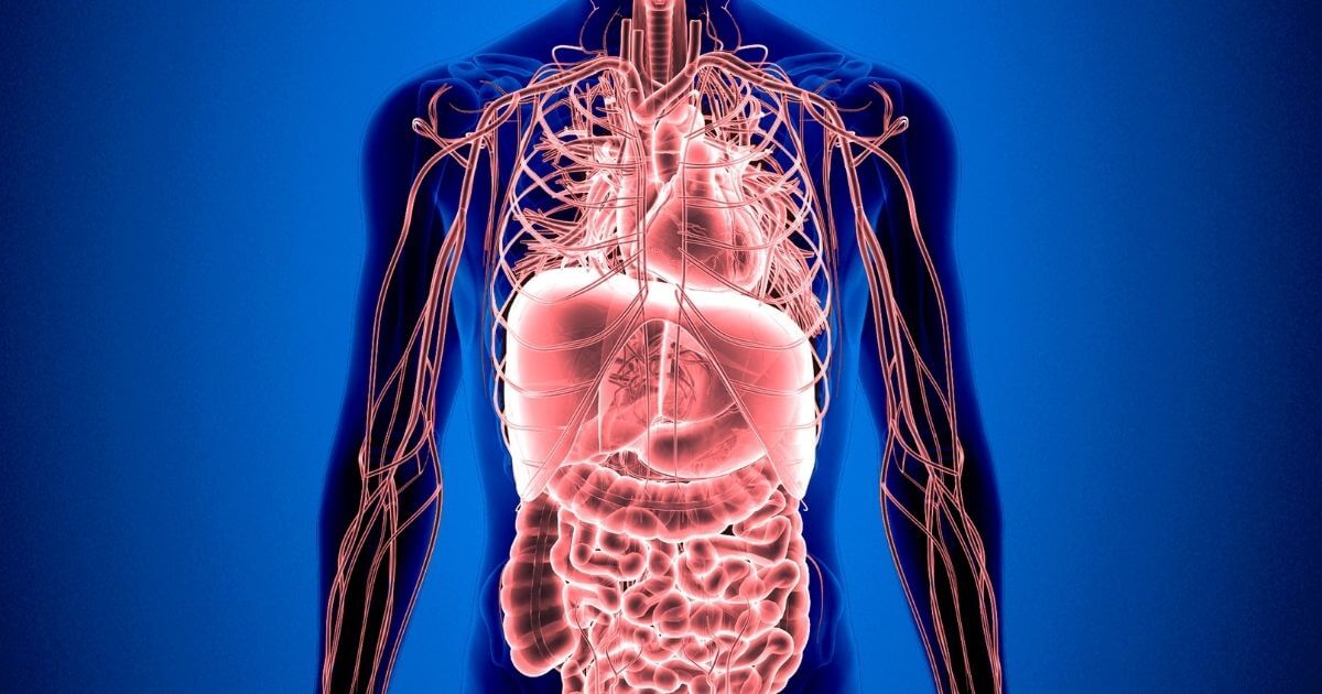 Complications of diabetes