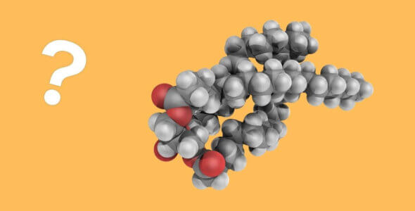 What are triglycerides?