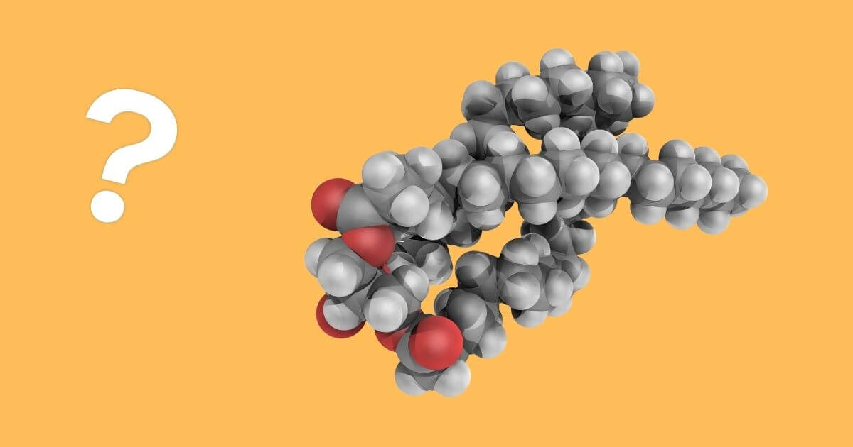 What are triglycerides?