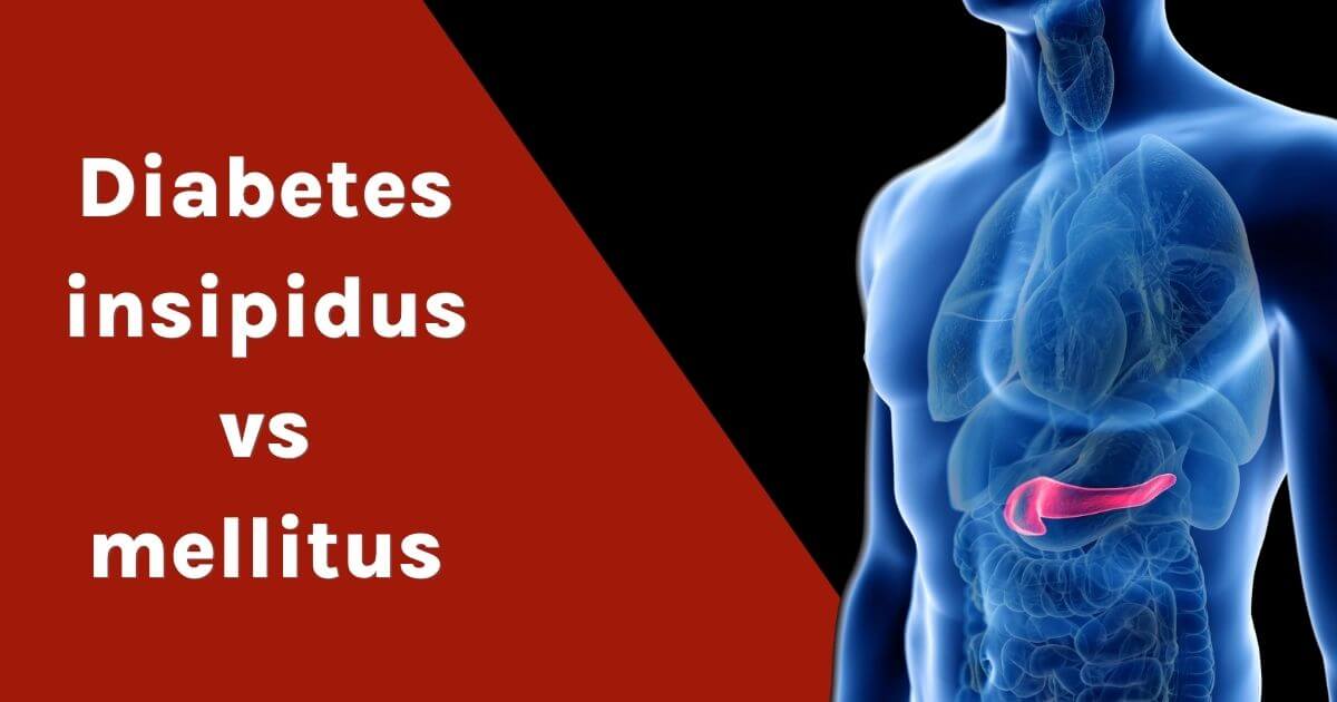 Diabetes insipidus vs mellitus